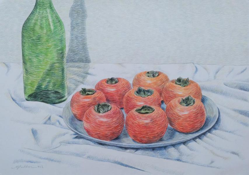 Persimmons/ Colored pencil/ H 49.8 × W 35 cm/ H 19.9 × W 13.12 in/ 2023