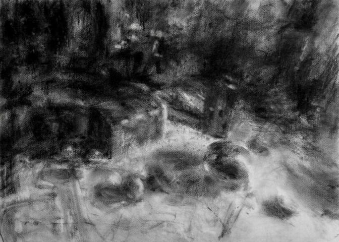 Tranquility/ Charcoal on Cardboard/ H 50 x W 70 cm/ H 19.7 x W 27.5 inch/ 2021 - LEYLA KHORSHID DOOST