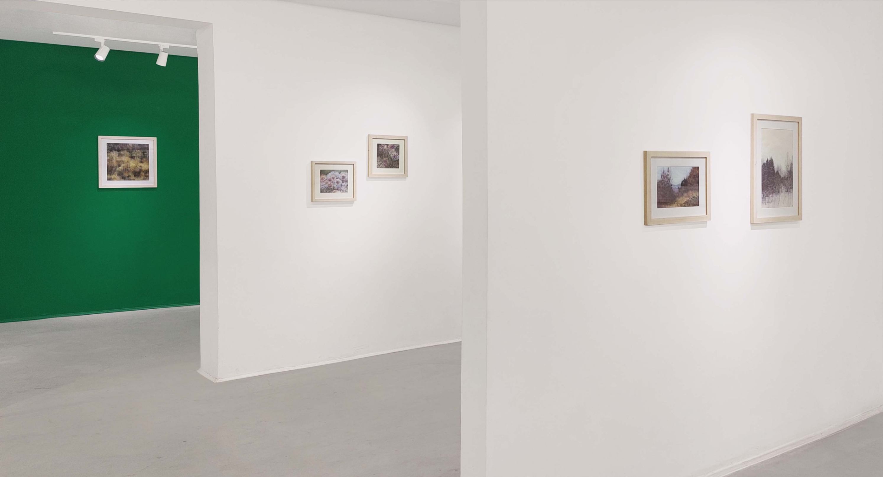 IN THE SILENCE OF THE EARTH/ Installation view/ 2024 - FATEMEH SHAKOORI