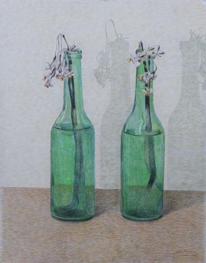 Withered daffodils/ Colored pencil / H27.8 × W35.3 cm / H10.15 × W13.14 in / 2021