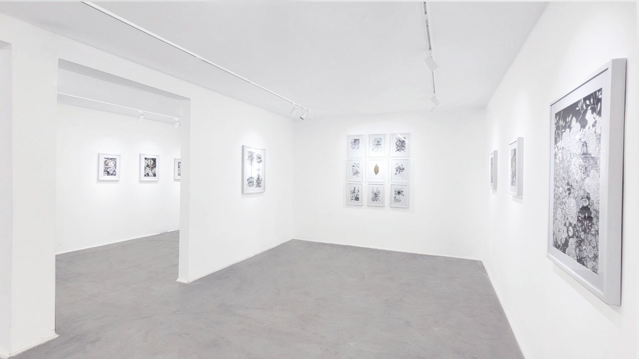 FLOURISHING OUT OF BURN/ Installation view/ 2023	