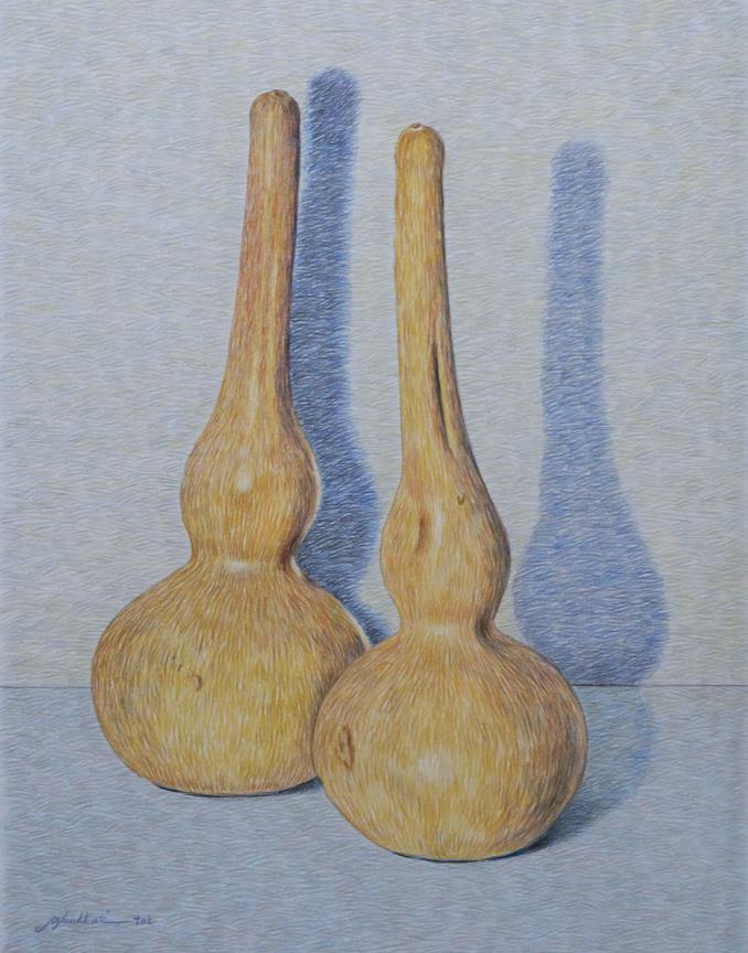 Bottle Gourds/ colored pencil/ H 35 × W 49.9 cm/ H 13.12 × W 17.10 in/ 2023