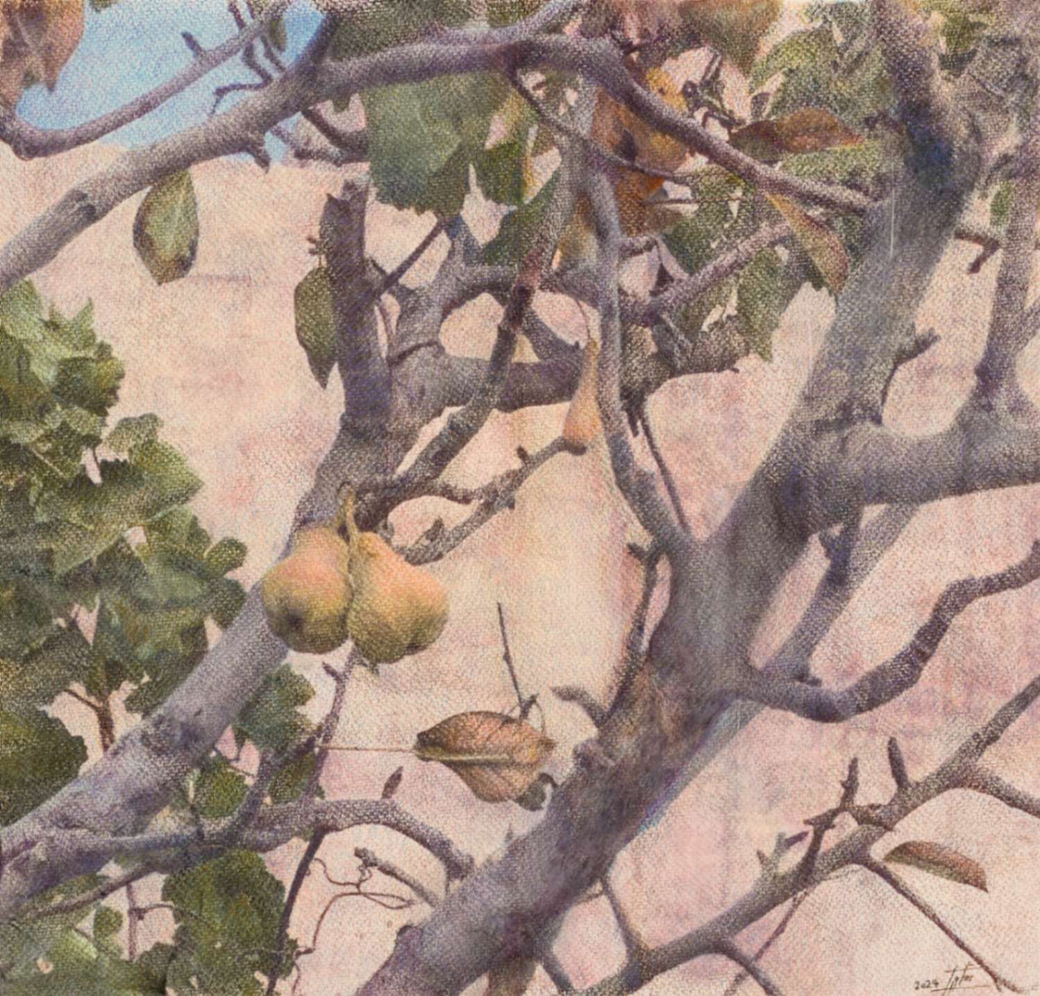 Pear Tree 1/ Mixedmedia on Cardboard/ H 39 × W 39 cm/ H 15.3 × W 15.3 in/ 2024 - FATEMEH SHAKOORI