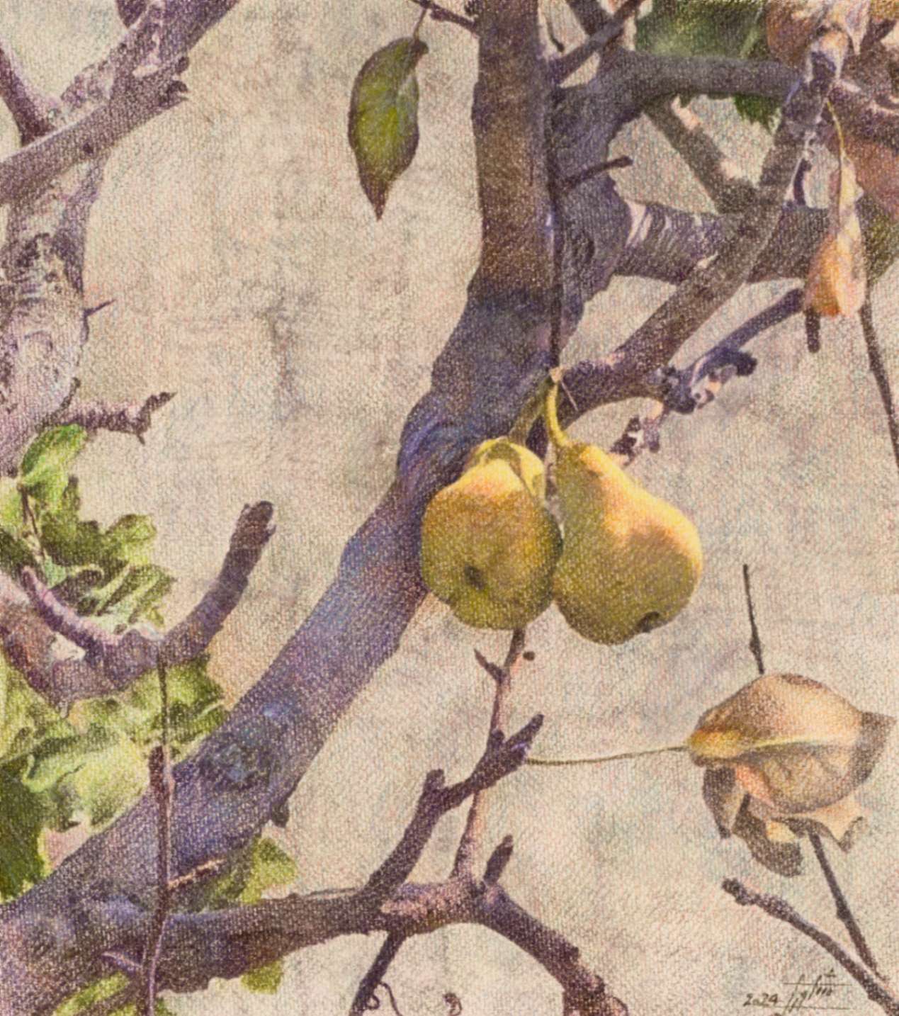 Pear Tree 2/ Mixedmedia on Cardboard/ H 31 × W 26 cm/ H 12.2 × W 10.2 in/ 2024 - FATEMEH SHAKOORI