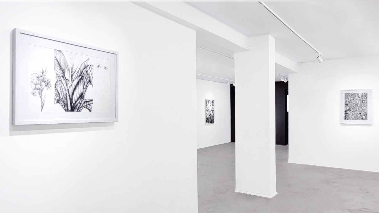 FLOURISHING OUT OF BURN/ Installation view/ 2023	