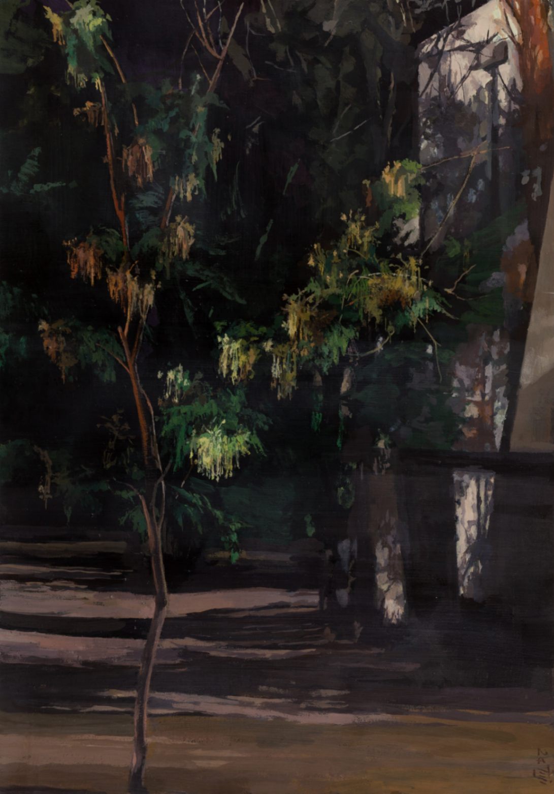 Untitled 16