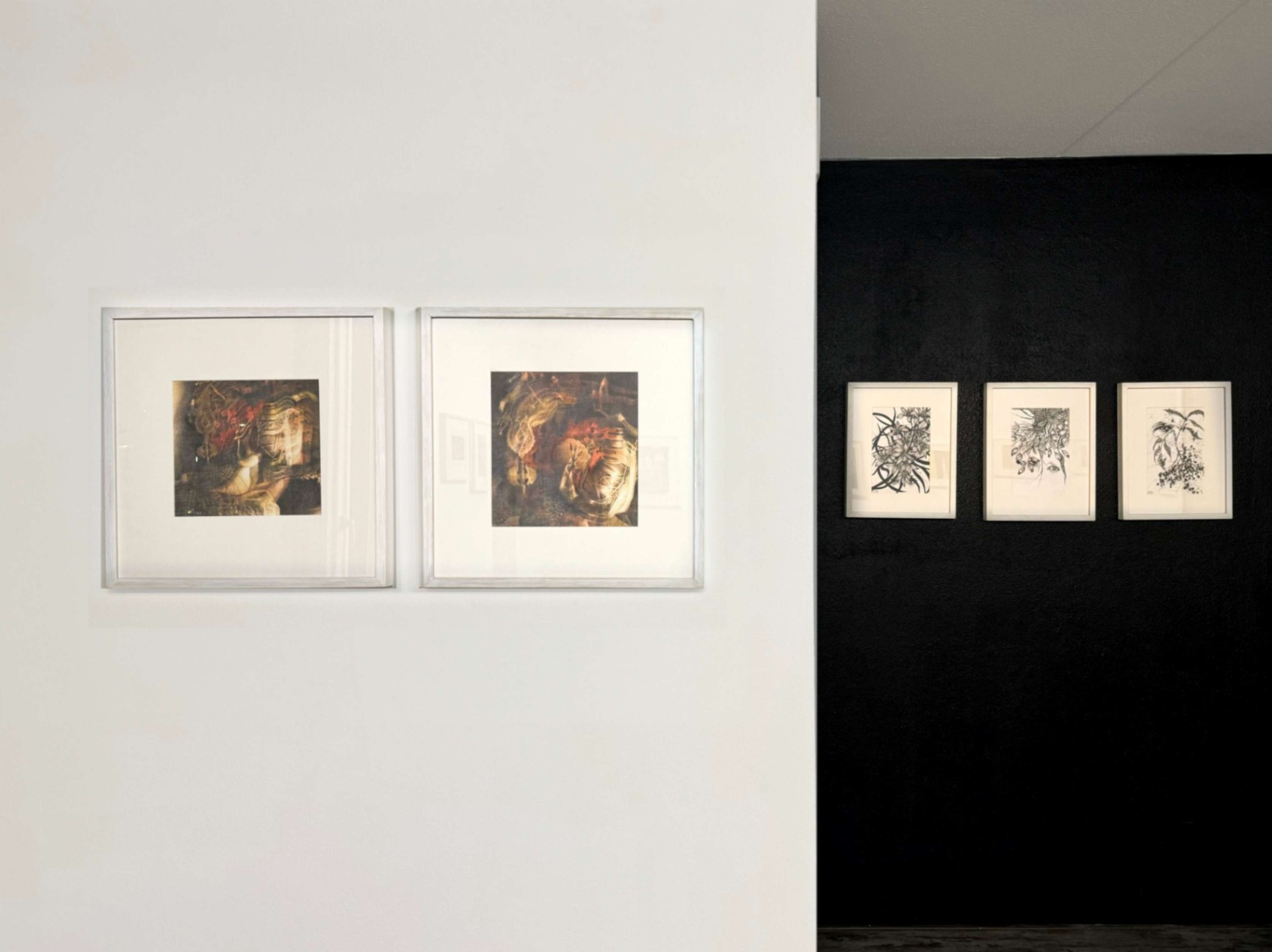 Installation view/ 2024