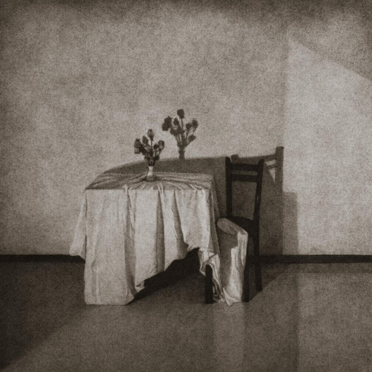 Light in the Silence of Quarantine — A Glimpse into the World of Zahra Rezadoost