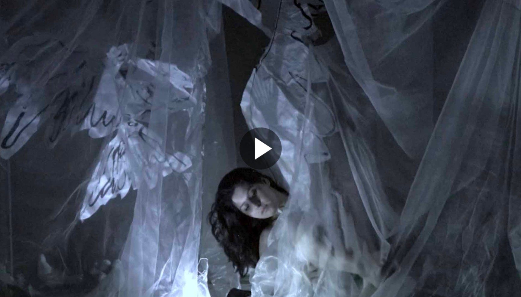 PAPER WINGS - FAEZEH HAMAMI